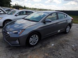 Salvage cars for sale at Harleyville, SC auction: 2019 Hyundai Elantra SE