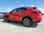 2022 Lexus NX 350