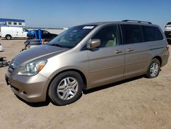 Honda salvage cars for sale: 2005 Honda Odyssey EXL