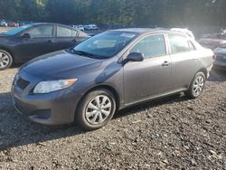 Salvage cars for sale from Copart Graham, WA: 2010 Toyota Corolla Base