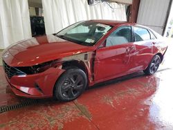 Salvage cars for sale at Angola, NY auction: 2023 Hyundai Elantra SEL