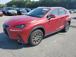 Lexus Vehiculos salvage en venta: 2018 Lexus NX 300 Base