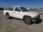 1999 Dodge Dakota