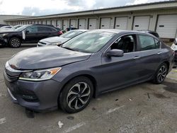 2017 Honda Accord EXL en venta en Louisville, KY