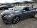 2017 Honda Accord EXL