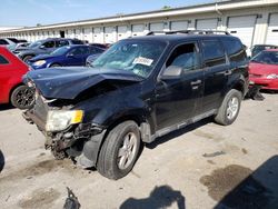 Salvage cars for sale at Louisville, KY auction: 2010 Ford Escape XLT