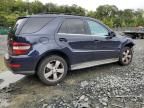 2010 Mercedes-Benz ML 350