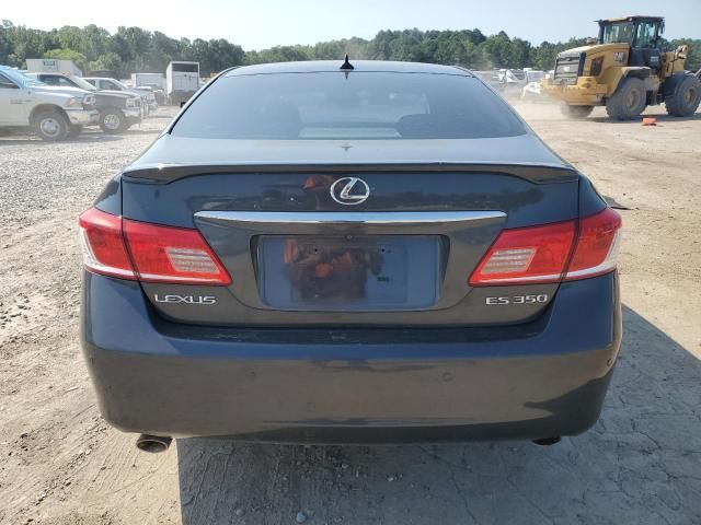 2010 Lexus ES 350