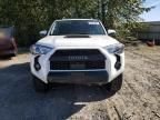 2023 Toyota 4runner SE