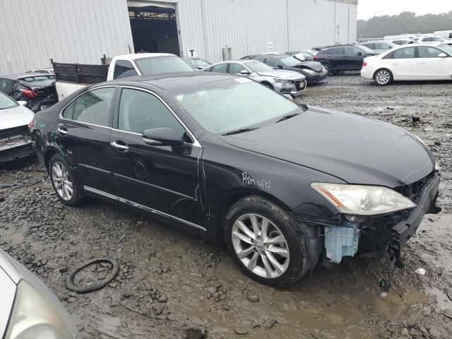 2010 Lexus ES 350