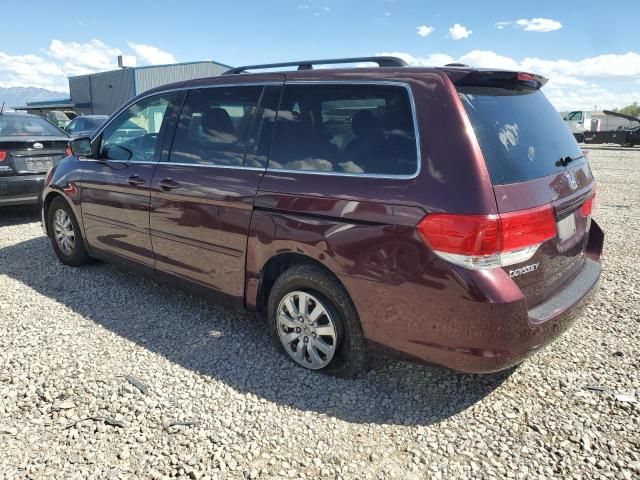 2008 Honda Odyssey EXL