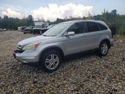 Salvage cars for sale at Candia, NH auction: 2010 Honda CR-V EXL