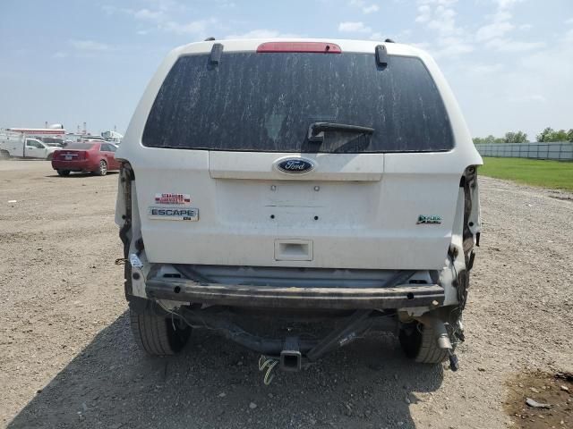 2010 Ford Escape XLT