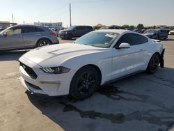 Ford salvage cars for sale: 2019 Ford Mustang