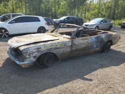 Muscle Cars for sale at auction: 1966 Ford Mustang