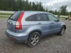 2008 Honda CR-V EXL