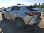 2023 Lexus NX 250