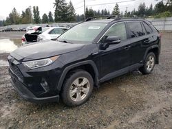 Toyota rav4 salvage cars for sale: 2021 Toyota Rav4 XLE