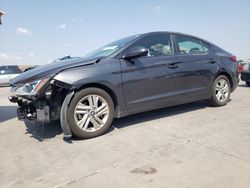 Hyundai Elantra salvage cars for sale: 2020 Hyundai Elantra SEL