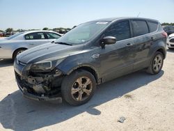 Salvage cars for sale at San Antonio, TX auction: 2016 Ford Escape SE