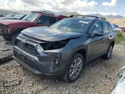 Toyota rav4 xle Premium salvage cars for sale: 2022 Toyota Rav4 XLE Premium