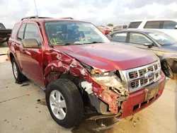 Salvage cars for sale at Grand Prairie, TX auction: 2009 Ford Escape XLS