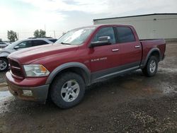 Salvage cars for sale from Copart Rocky View County, AB: 2012 Dodge RAM 1500 SLT