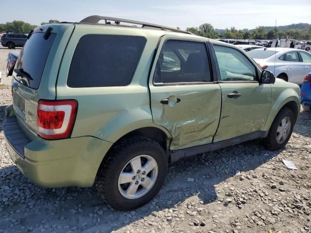 2008 Ford Escape XLT