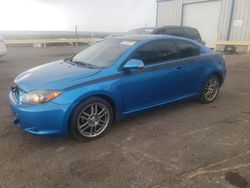 Salvage cars for sale from Copart Albuquerque, NM: 2010 Scion TC