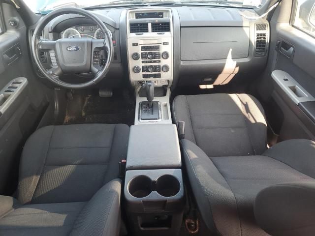 2009 Ford Escape XLT