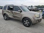 2010 Honda Pilot EXL