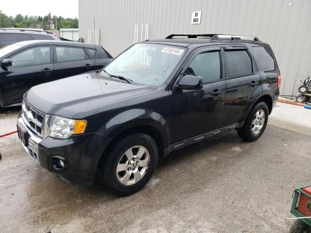 2011 Ford Escape Limited