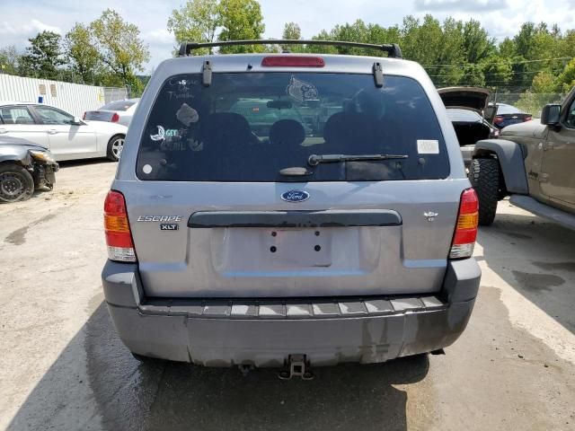 2007 Ford Escape XLT