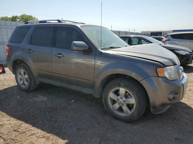 2012 Ford Escape Limited