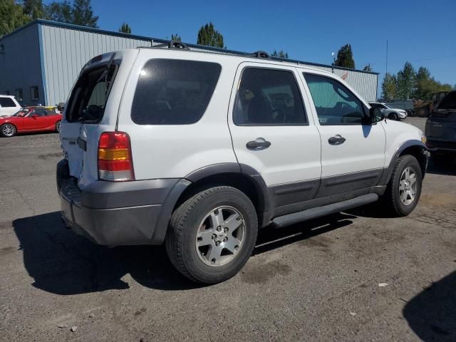 2005 Ford Escape XLT