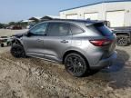 2023 Ford Escape ST Line Elite