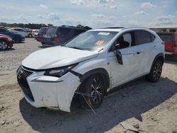 Lexus salvage cars for sale: 2017 Lexus NX 200T Base