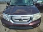 2011 Honda Pilot EX