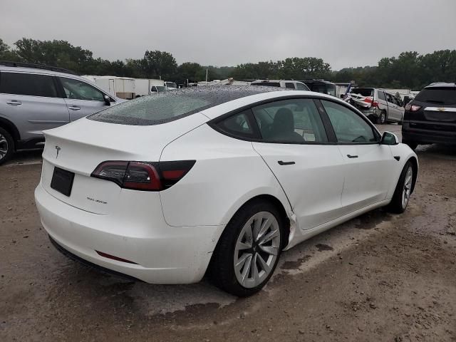 2021 Tesla Model 3