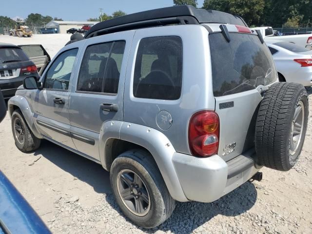 2004 Jeep Liberty Renegade