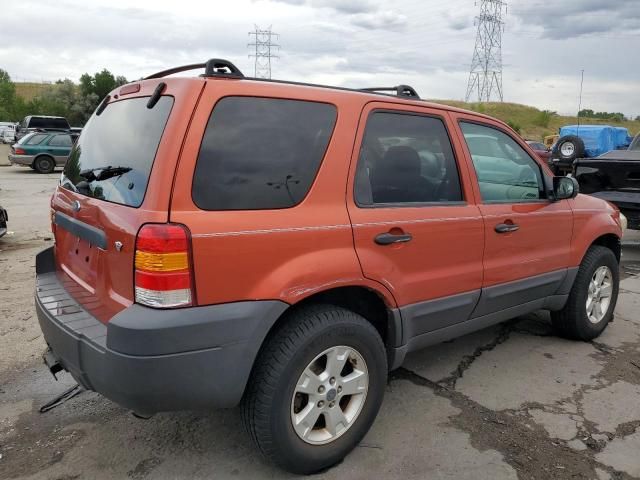 2006 Ford Escape XLT