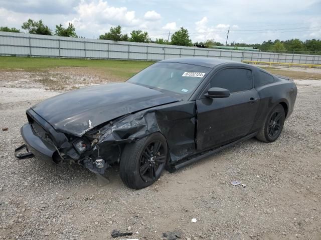 2013 Ford Mustang