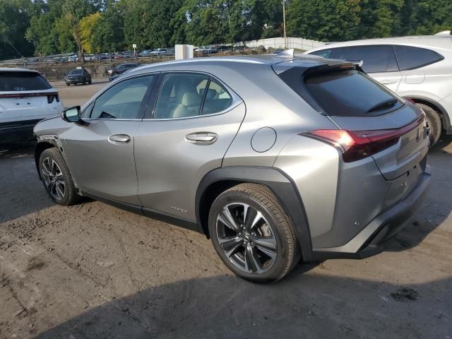 2020 Lexus UX 250H