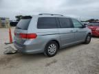 2008 Honda Odyssey EX