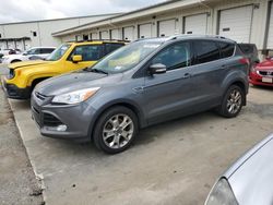 Ford salvage cars for sale: 2014 Ford Escape Titanium