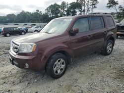 Salvage cars for sale at Byron, GA auction: 2011 Honda Pilot EXL