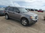 2012 Ford Escape XLS