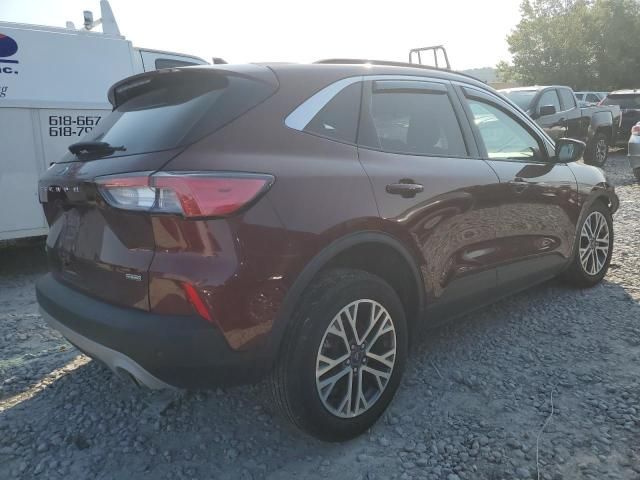 2021 Ford Escape SEL