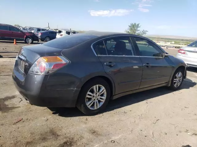 2010 Nissan Altima Base