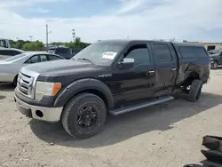 Salvage trucks for sale at Indianapolis, IN auction: 2011 Ford F150 Supercrew